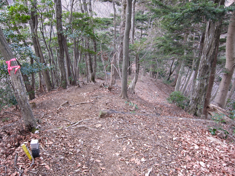 20200204hike (126)